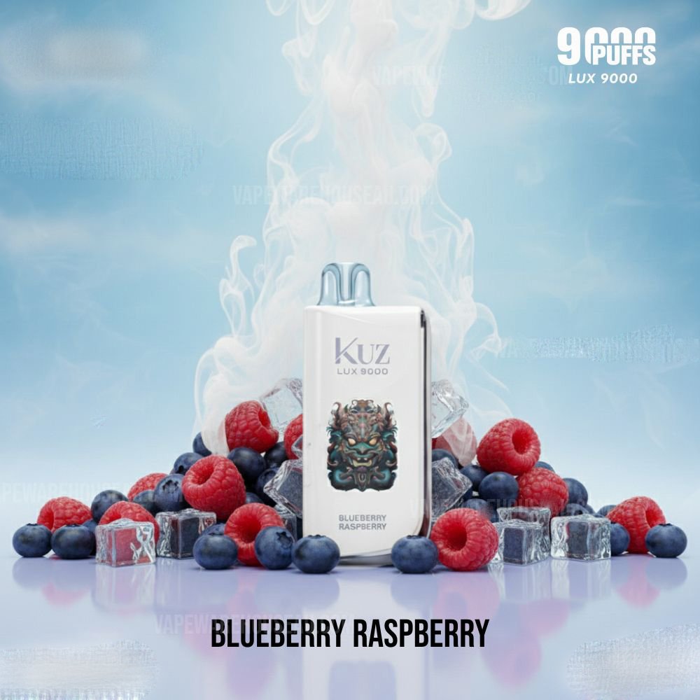 Kuz LUX 9000 Puffs Blueberry Raspberry